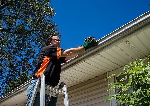 Solve Your Gutter Problems Fast with Indy Gutter Cleanings PLUS LLC