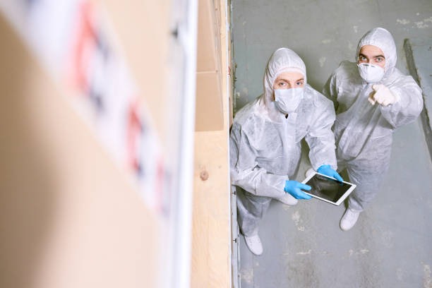 Supernova Asbestos Surveys London Professional Asbestos Inspection Services